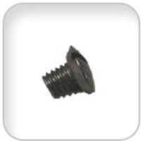 Westerbeke, Screw 8-32x1/4 ss oval head, 031935