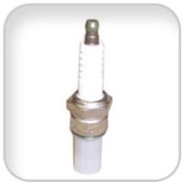 Westerbeke, Sparkplug, 035666