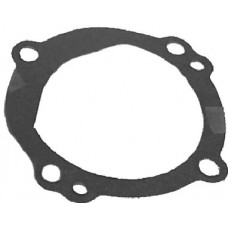 Sierra, Water Pump Gasket, 18-3140