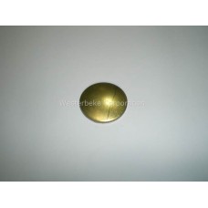 Westerbeke, Plug, expansion 1.257 brass con, 011755