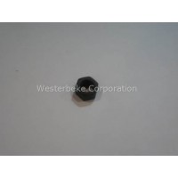 Westerbeke, Nut, cylinder head 3/8-24nf, 014831