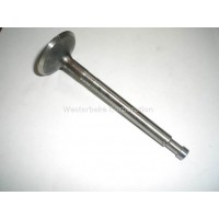 Westerbeke, Valve, intake w60, 017724