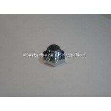 Westerbeke, Plug 1/2-20 unf hex head steel, 019505