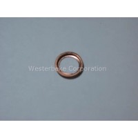 Westerbeke, Washer, lift pump check valve, 031061