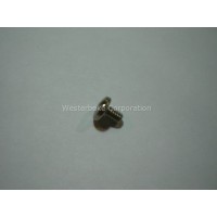 Westerbeke, Screw 8-32x1/4 ss binding head, 031861