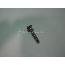 Westerbeke, Screw 10-32x1 ss binding head, 031876