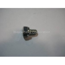 Westerbeke, Screw, bleed, 032868