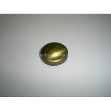 Westerbeke, Plug, expansion cup 1.25o brass, 033006