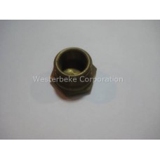 Westerbeke, Plug, filter, 036292