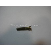 Westerbeke, Screw, pump cover, 036318