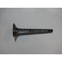 Westerbeke, Valve, exhaust 55a, 041879