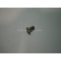 Westerbeke, Screw, carburetor float 3.0bpmg, 048877