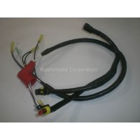 Westerbeke, Harness, protective op circuit, 053590