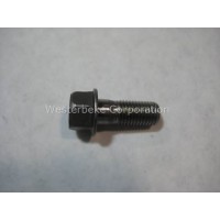 Universal, Bolt, Flywheel, 302733